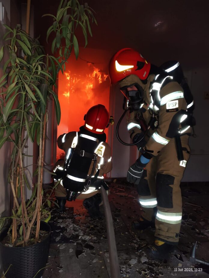 Zdjęcie WhatsApp 2025-02-11 o 13.07.02_8b16ed1b