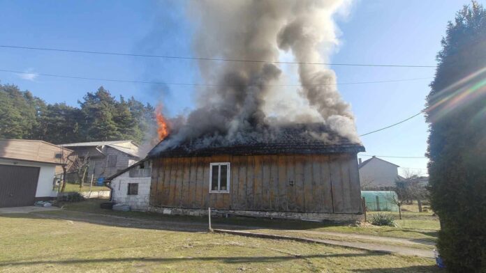 Zdjęcie WhatsApp 2025-03-21 o 17.03.58_31b0a52b