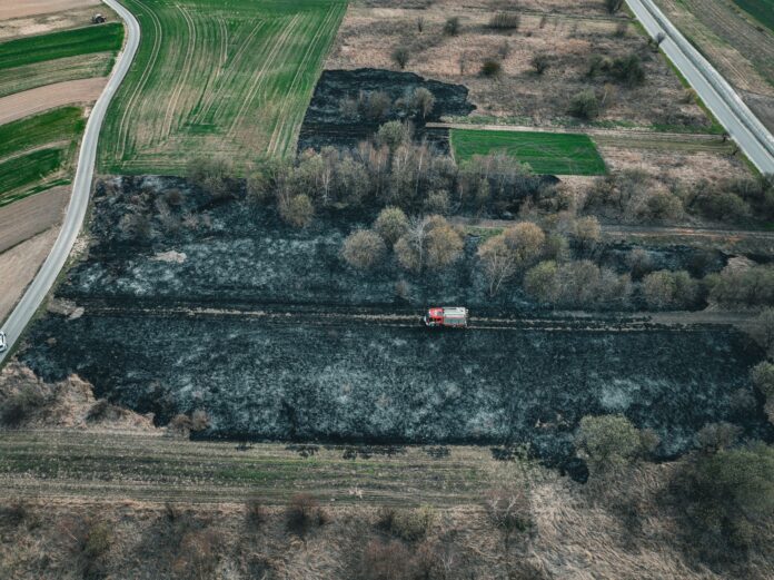 Zdjęcie WhatsApp 2025-04-04 o 16.49.00_806bdf01